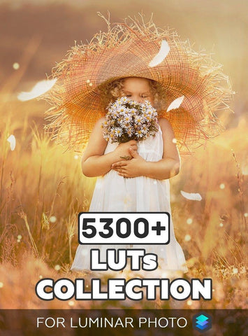 Luminar 5300+ LUTs Massive Collection
