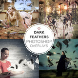 Dark Feathers - Overlays